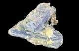 Vibrant Blue Kyanite Crystal Cluster - Brazil #95592-1